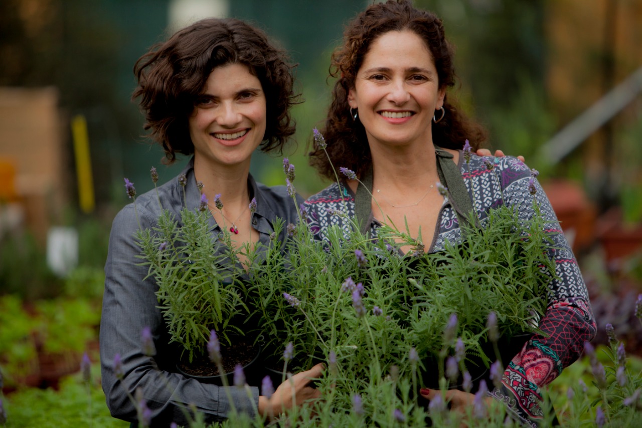 SABRINA E SILVA JEHA SABOR DE FAZENDA STOP FOOD WASTE DAY